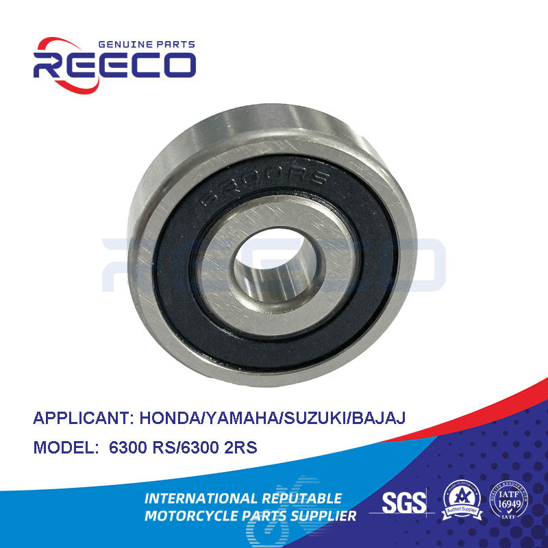 6300 RS/6300 2RS RODILLO DE RODADORES